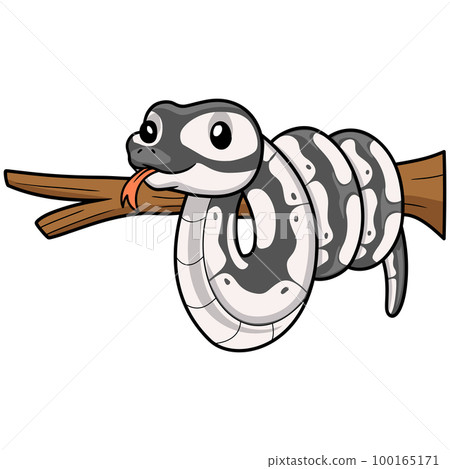 Cute axanthic ball python cartoon on tree branch 100165171
