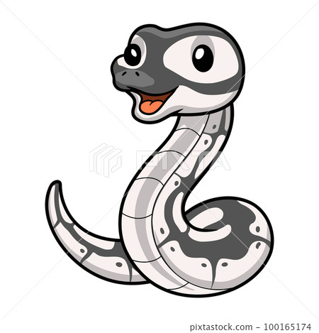 Cute axanthic ball python cartoon Cute axanthic ball python cartoon 100165174