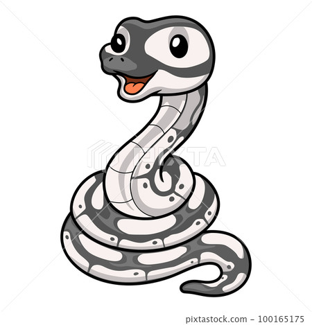 Cute axanthic ball python cartoon Cute axanthic ball python cartoon 100165175