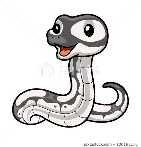 Cute axanthic ball python cartoon Cute axanthic ball python cartoon 100165176