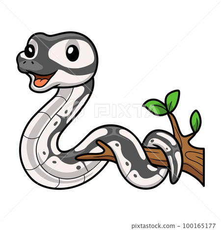 Cute axanthic ball python cartoon on tree branch Cute axanthic ball python cartoon on tree branch 100165177