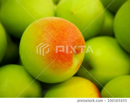 Nanko Ume 用於未成熟的李子和梅酒 100165835