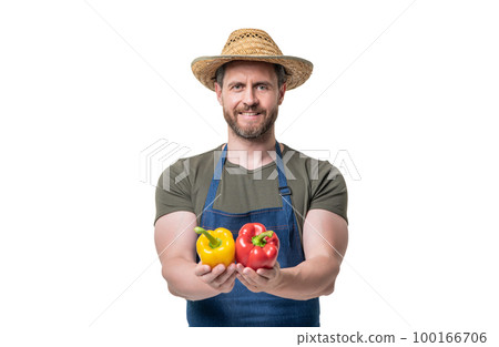 cheerful man in apron and hat with sweet pepper vegetable isolated on white cheerful man in apron and hat with sweet pepper vegetable isolated on white 100166706