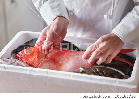 廚師正在挑選從產地運來的魚 廚師正在挑選從產地運來的魚 100166736