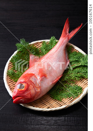 漏勺上的阿方西諾 100167614