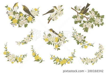 Set with birds and flowers. Blooming garden branches. Compositions with plant elements and birds. Flower garlands. Vintage illustration. Colorful. 100168342