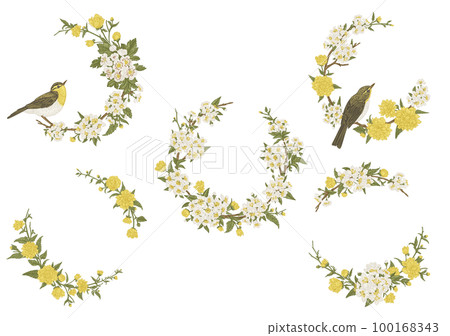 Set with flower wreaths and birds. Floral frame. Garland. Botanical illustration. Vintage style. Japanese kerria, cherry, hawthorn, willow warbler. 100168343