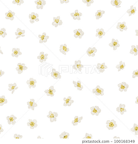 Floral print. Seamless pattern with cherry flowers. Vintage Illustration. Yellow and white. Isolated on transparent background. 100168349