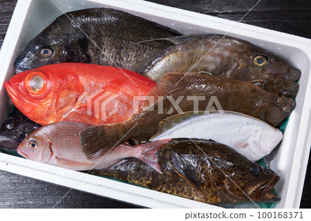 產地直送的鮮魚拼盤 產地直送的鮮魚拼盤 100168371
