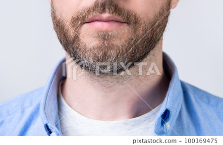 closeup photo of bearded man with beard. bearded man with beard wearing casual shirt. closeup photo of bearded man with beard. bearded man with beard wearing casual shirt. 100169475