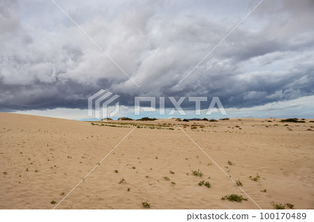 Stormy weather at the desert, Fuerteventura 100170489