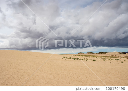 Stormy weather at the desert, Fuerteventura 100170498