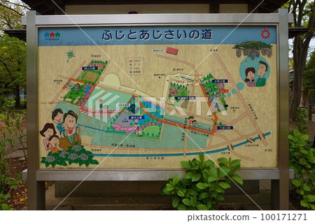 Tamashiki Park Fuji and Hydrangea Road Signboard Tamashiki Park Fuji and Hydrangea Road Signboard 100171271