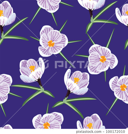 floral seamless pattern of Romantic Crocus Flowers floral seamless pattern of Romantic Crocus Flowers 100172010