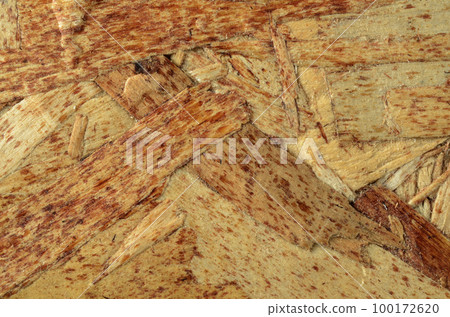 plywood 100172620
