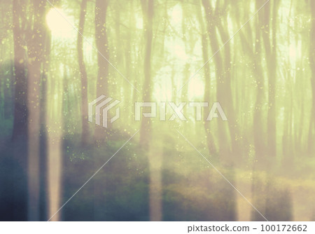 神秘明亮的森林背景圖（淡綠色） 100172662