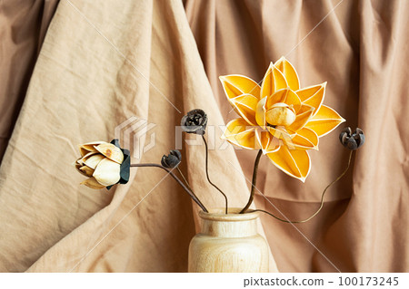 Dried flowers in wooden vase against draper. Monochromatic modern still life. 100173245