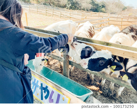 Aichi Farm animal feeding experience　 100173250