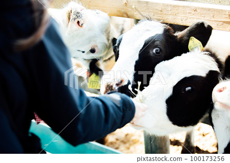 Aichi Farm animal feeding experience Aichi Farm animal feeding experience 100173256
