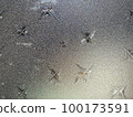 Old window glass 100173591