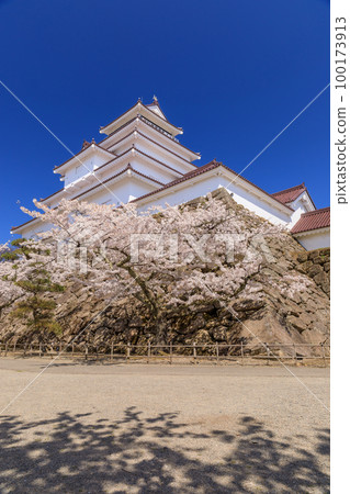 福島縣_敦賀城和櫻花盛開的絕景 100173913