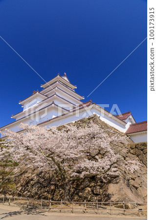 Fukushima _ Tsuruga Castle and a superb view of cherry blossoms in full bloom 100173915