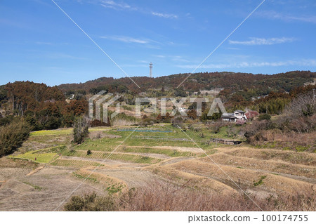 Scenery of rice terraces in early spring [Kamogawa City, Chiba Prefecture] 100174755