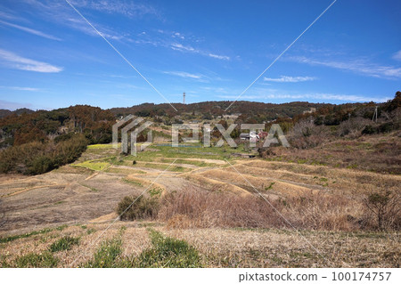 早春的梯田風光【千葉縣鴨川市】 100174757