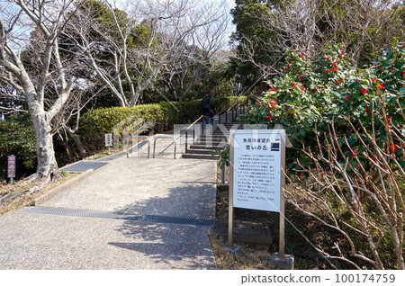 Promenade to Uomizuka Observatory [Kamogawa City, Chiba Prefecture] 100174759