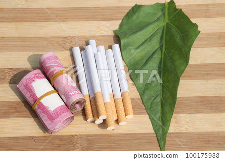 tobacco farm with bank note and cigarette for harvest tobacco farm with bank note and cigarette for harvest 100175988