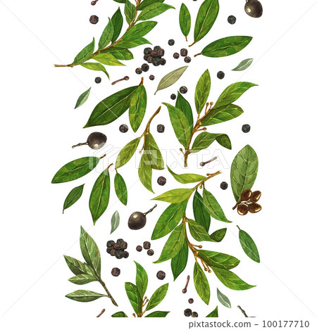 Seamless pattern bay leaves branches watercolor isolated on white background for all prints. Hand drawn organic products for design of healthy food, invitations, greeting cards. 100177710