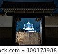大阪城堡在晚上 100178988