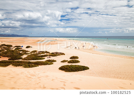 The beautiful sandy beach of Risco del Paso in Fuerteventura 100182525