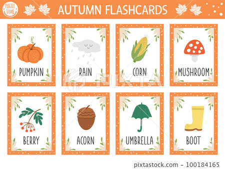 Vector Autumn flash cards set. English language game with cute pumpkin, mushroom, umbrella, acorn for kids. Fall season flashcards. Simple educational printable worksheet. 100184165