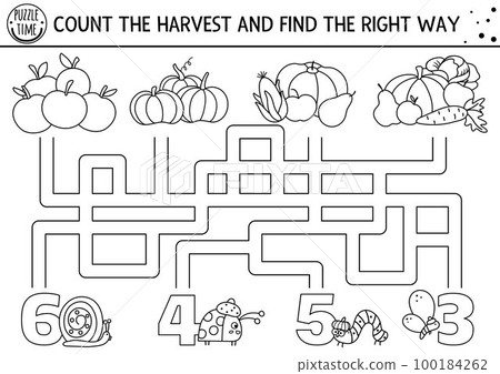 Thanksgiving black and white maze for children. Autumn holiday line printable counting activity. Fall labyrinth game or coloring page with cute vegetables, insects. Count harvest and find the way Thanksgiving black and white maze for children. Autumn holiday line printable counting activity. Fall labyrinth game or coloring page with cute vegetables, insects. Count harvest and find the way 100184262