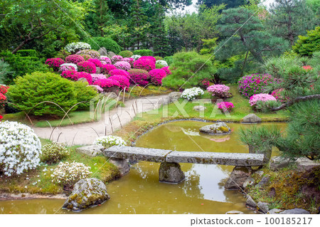 Fantastic balls of flowering bushes of... - Stock Photo [100185217] - PIXTA