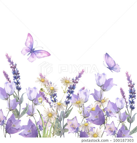 Watercolor composition, border with Herbs and wild flowers, leaves, butterflies. Botanical Illustration on white background. Template with place for text. 100187303
