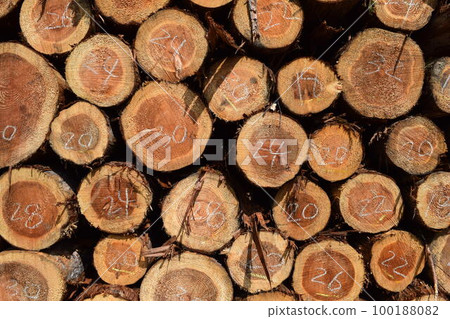 Cedar log cut out Cedar log cut out 100188082