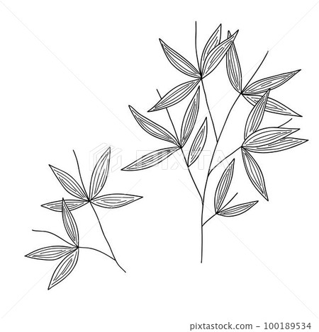 Bamboo leaves branch simple linear style vector outline illustration, traditional japanese plant, oriental decorative ornament for design, greeting card, template, banner, zen concept Bamboo leaves branch simple linear style vector outline illustration, traditional japanese plant, oriental decorative ornament for design, greeting card, template, banner, zen concept 100189534