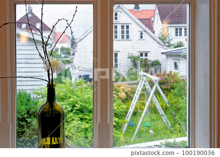 Flowers in a vase by window at home 100190036