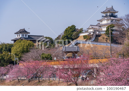 (Shizuoka Prefecture) Kakegawa Castle over Kakegawazakura (Kakegawa cherry blossoms) (Shizuoka Prefecture) Kakegawa Castle over Kakegawazakura (Kakegawa cherry blossoms) 100190467