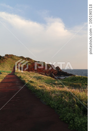 Izu Oshima Sunset Palm Line 100190518