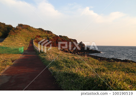 伊豆大島日落棕櫚線 100190519