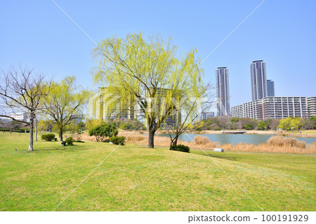 Fukuoka Island City spring landscape Island City Central Park Island City with beautiful fresh green willows 100191929