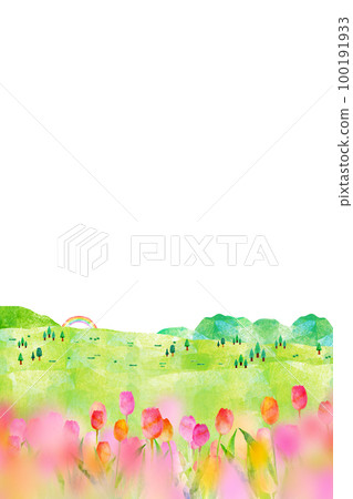 Tulip field background material 100191933