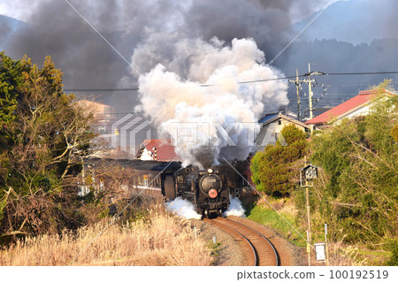 Locomotive 100192519