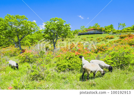 Idol of Shirakaba Ranch Idol of Shirakaba Ranch 100192913