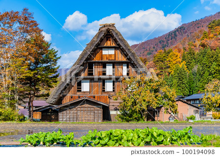 Shirakawa-go in Autumn Nagase House Shirakawa-go in Autumn Nagase House 100194098