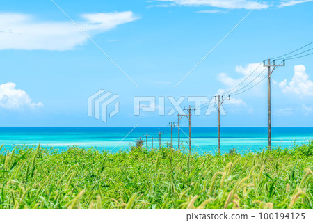 Sea of Miyakojima 100194125