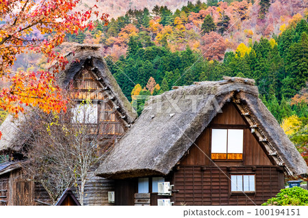 Shirakawa-go A traditional gassho style house dyed in autumn leaves Shirakawa-go A traditional gassho style house dyed in autumn leaves 100194151